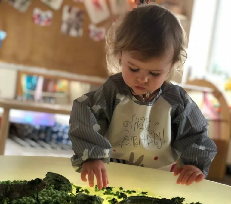 The Importance of Baby Development in the Early Years